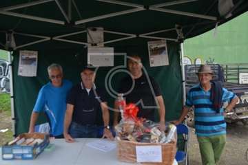 La feria de ganado, atractivo principal de la jornada matutina en Jinámar (Foto Antonio Alí y Francisco Javier Santana)